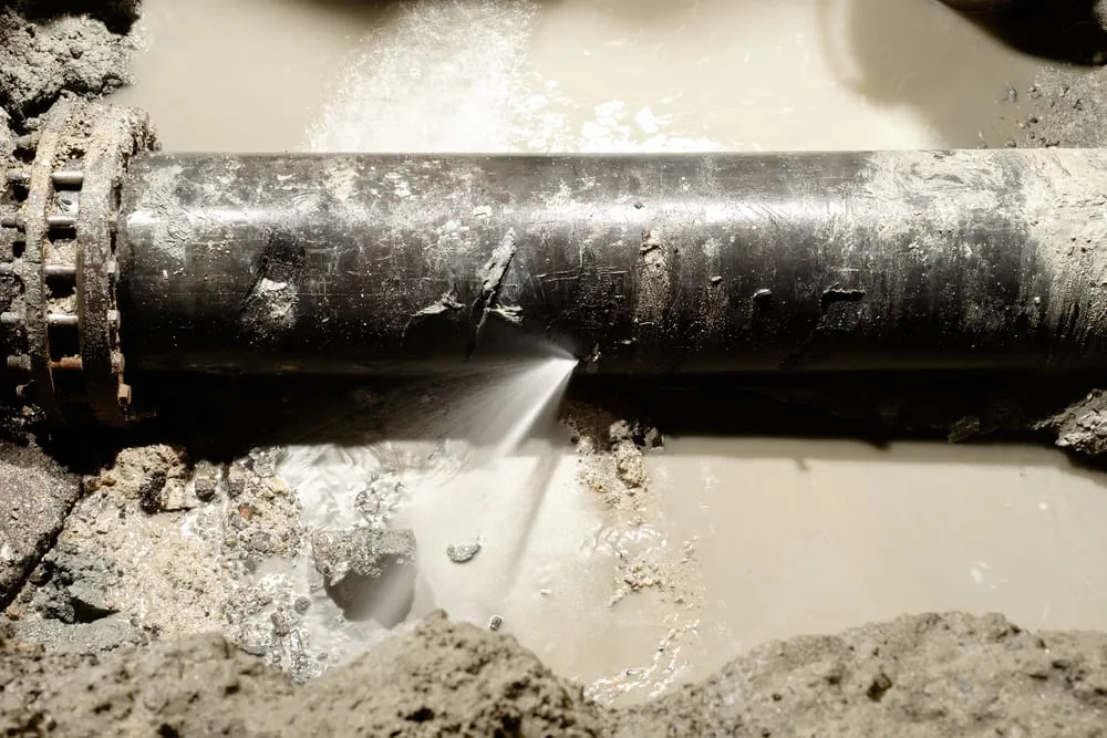 Professional water leak detection