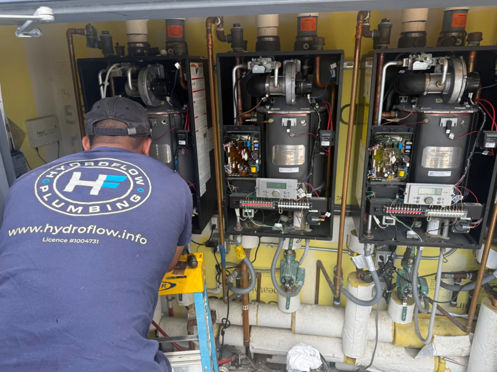 Hydroflow Plumbing technician with branded shirt and license number servicing commercial boiler installation